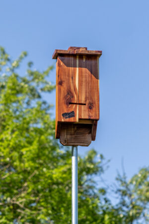Bat house